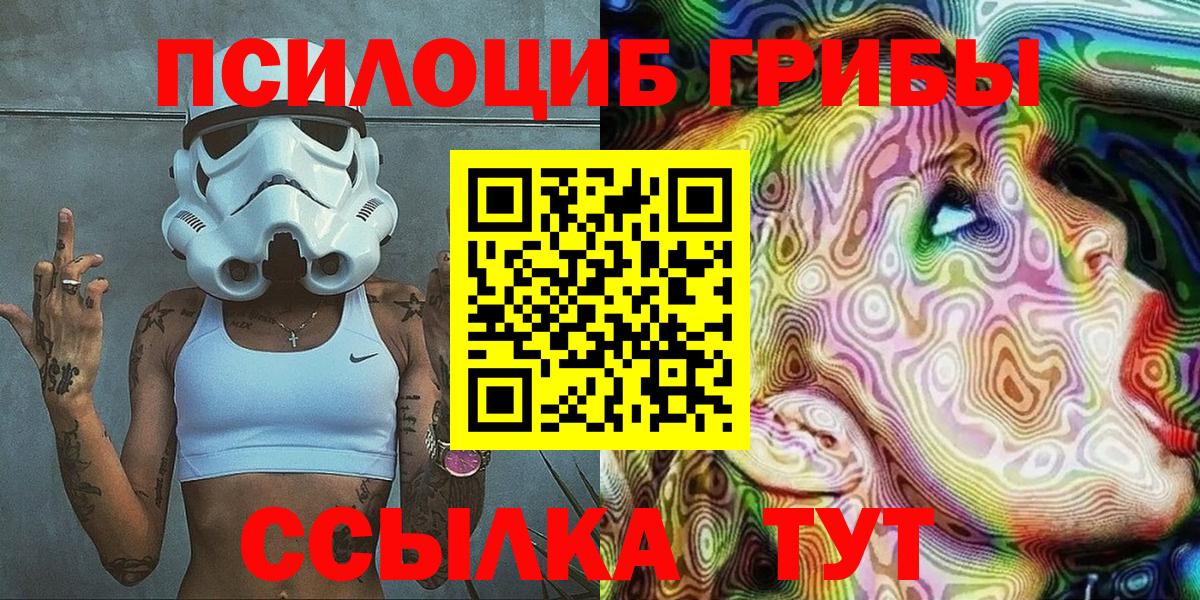 Псилоцибиновые грибы Cubensis Нерюнгри